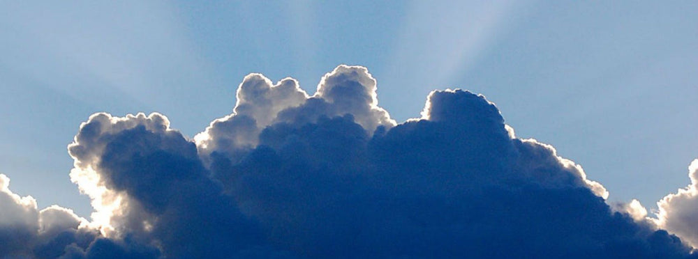 Coronavirus and all the silver linings