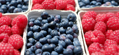 Blueberries and Raspberries in Containers.