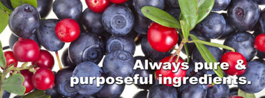 The Step One Foods difference: Part one