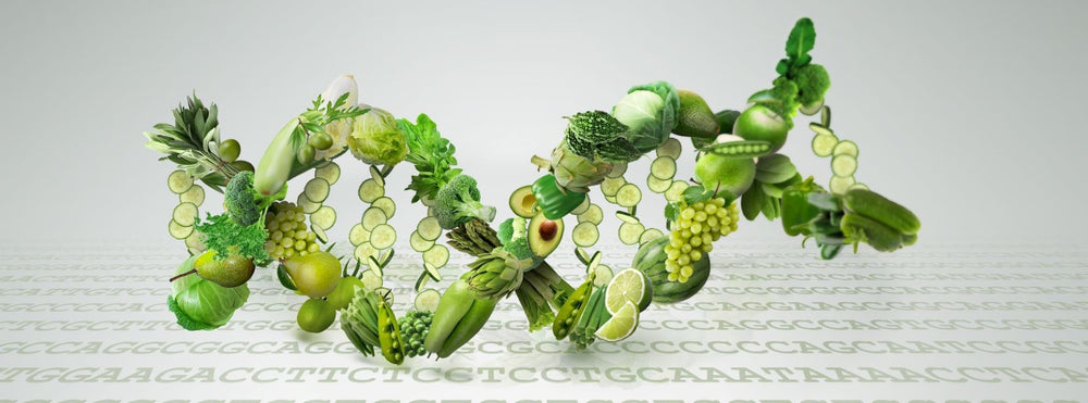 Smart nutrition choices that could help you live longer