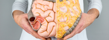 Insulin Resistance, Prediabetes and Type 2 Diabetes. Part 3: Fat in All the Wrong Places