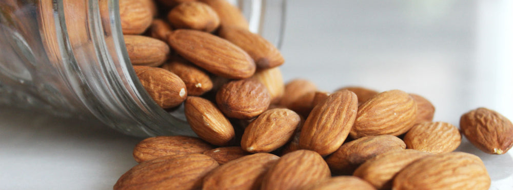 The world's most nutritious food