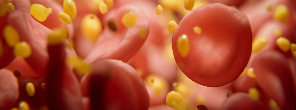 Cholesterol FAQs: Part 4