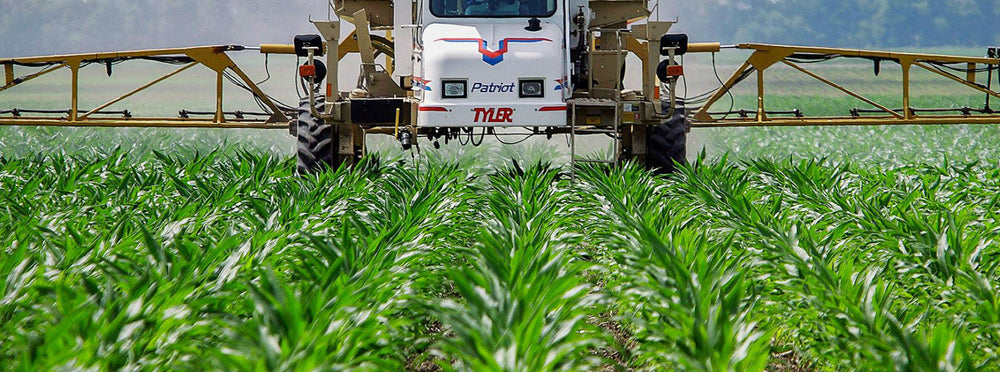 Why all the fuss about GMOs?