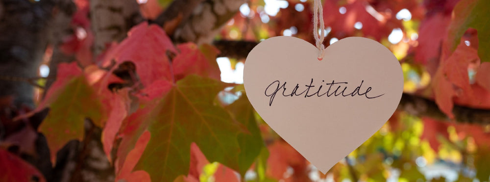 2024 Goal: Gratitude