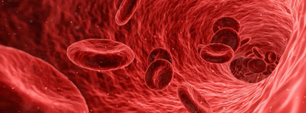 Could protecting your heart also protect you from COVID-19?