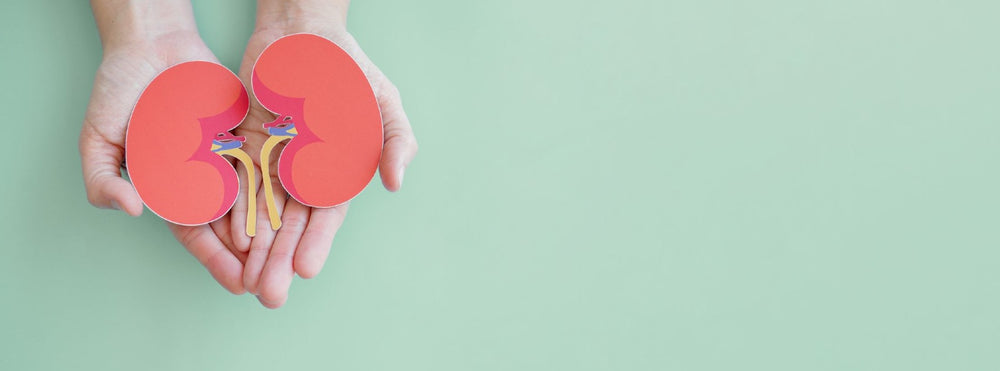 Are Statins Bad for Your Kidneys?