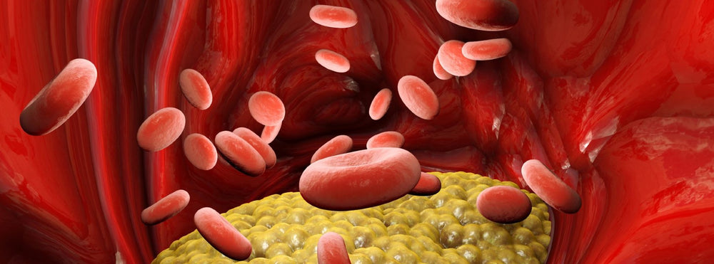 Cholesterol FAQs: Part 3