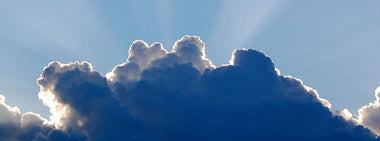 Coronavirus and all the silver linings