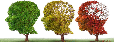 How to slow brain aging