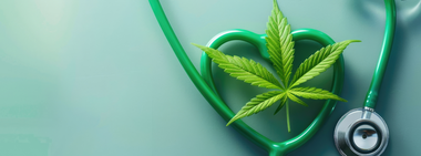 A green stethoscope shaped into a heart with a cannabis leaf in the center, symbolizing the intersection of marijuana use and cardiovascular health.