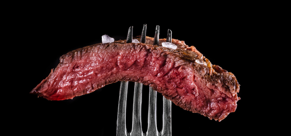 The Not-So-Hidden Dangers of the Carnivore Diet