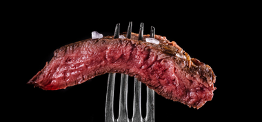 The Not-So-Hidden Dangers of the Carnivore Diet