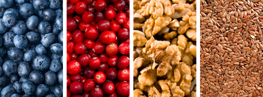 Why every ingredient in Step One Foods matters