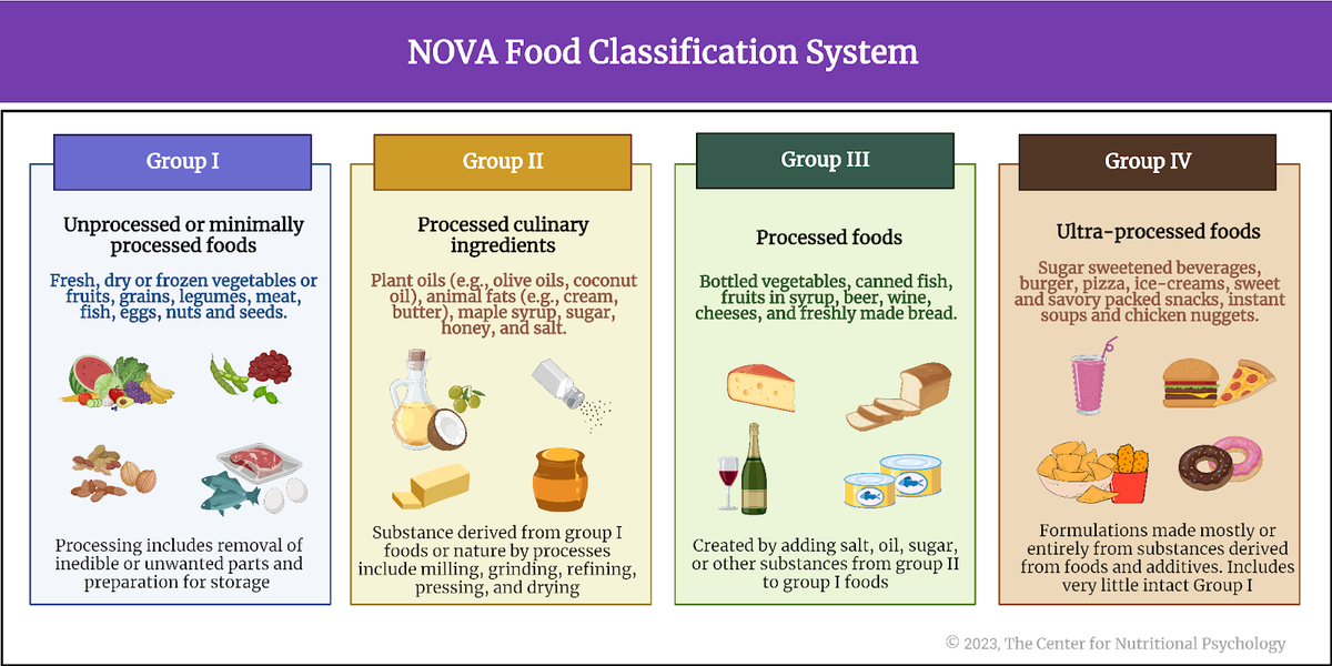 NOVA food classification system showing the four groups by degree of processing