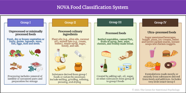 NOVA food classification system showing the four groups by degree of processing