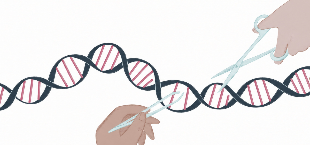 Can a One-Time Gene Therapy Permanently Lower LDL Cholesterol?