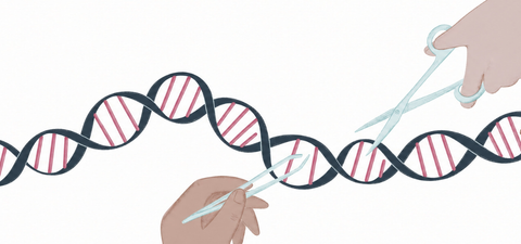 Can a One-Time Gene Therapy Permanently Lower LDL Cholesterol?
