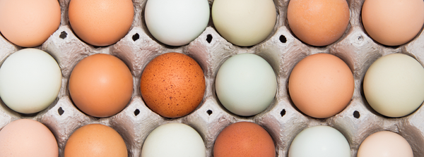 Which eggs should I buy?