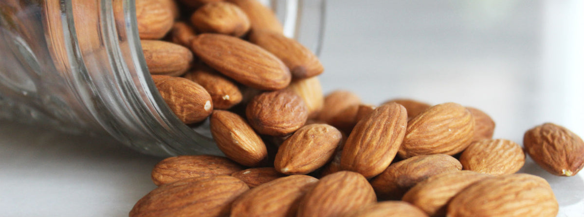 The world's most nutritious food