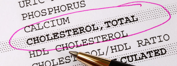 A cholesterol lab report showing a borderline total cholesterol