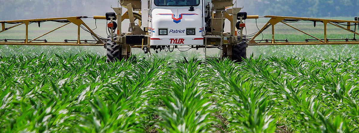Why all the fuss about GMOs?