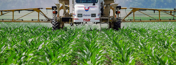 Why all the fuss about GMOs?