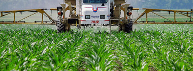 Why all the fuss about GMOs?