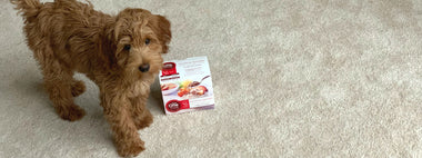 A lesson in why you should avoid fad diets