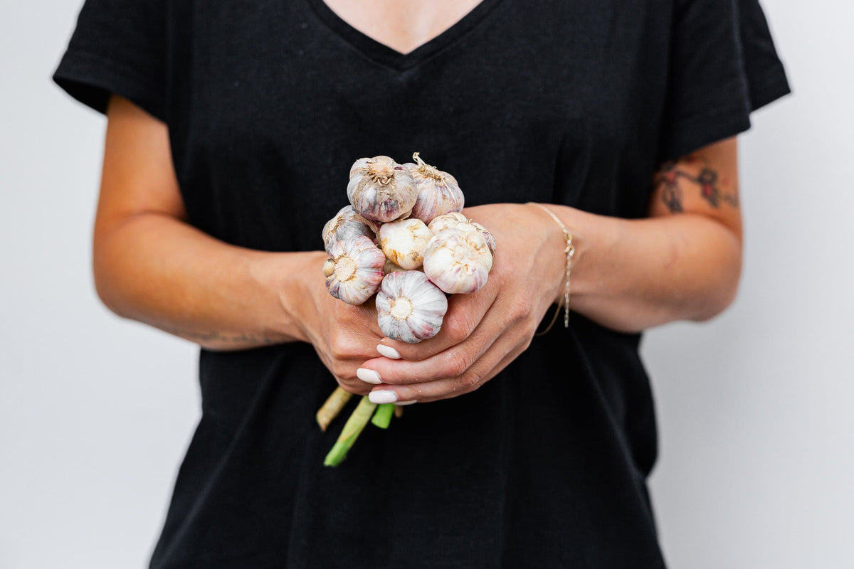 Fresh garlic bulbs and cloves on a wooden surface