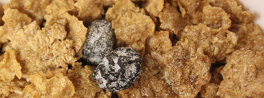 Why Dr. Elizabeth Klodas Created Step One Foods