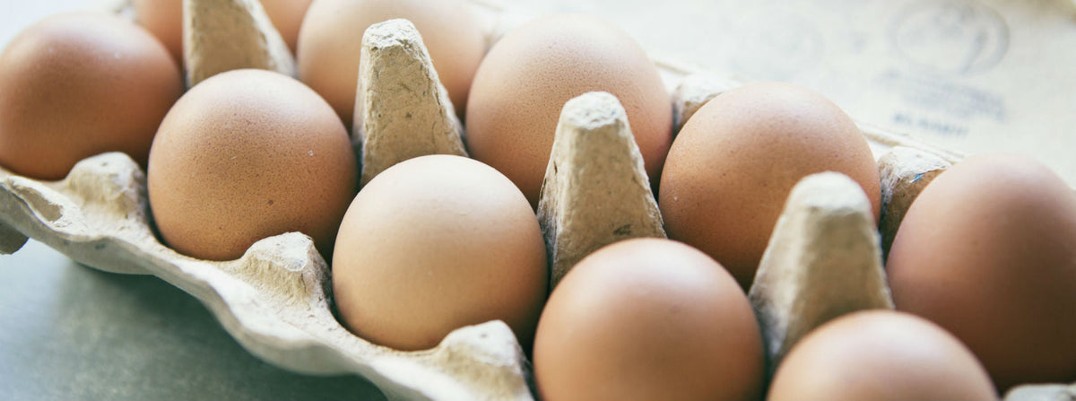Eggs and heart health
