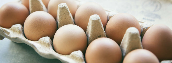 Eggs and heart health