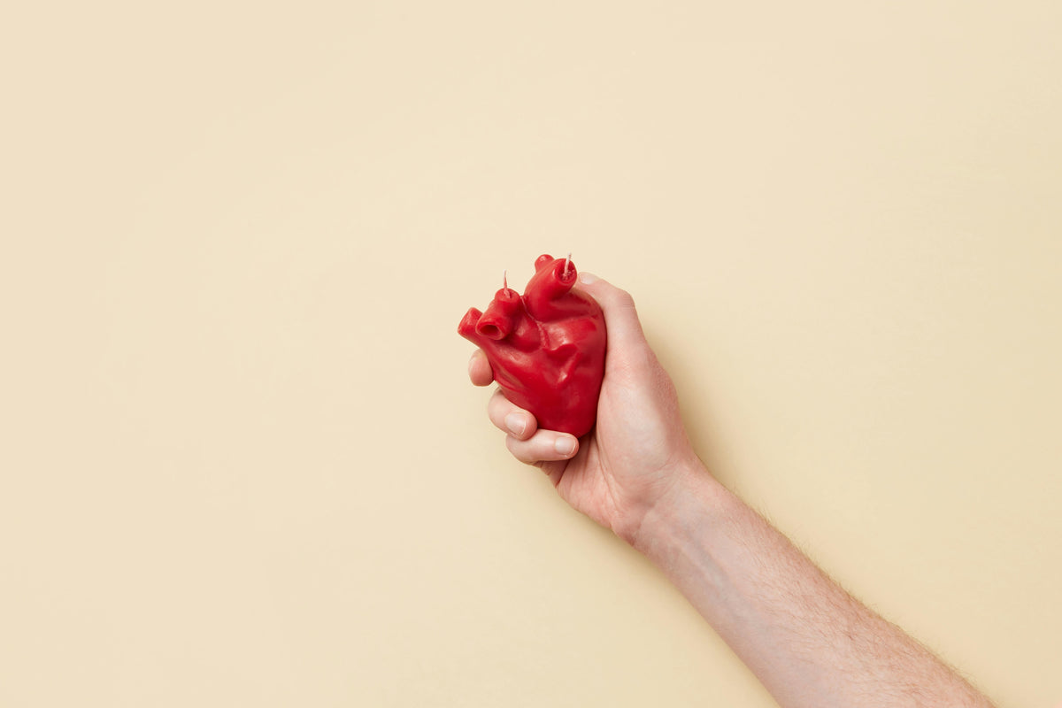 The Heart of the Matter: The Engine That Makes Whole-Body Health Possible