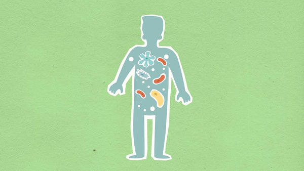 Why Two People Can Eat the Same Calories—and Only One Gains Weight