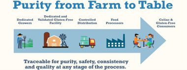 The importance of the Purity Protocol